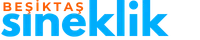 Beşiktaş Sineklik