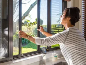 Beşiktaş Stor Sineklik